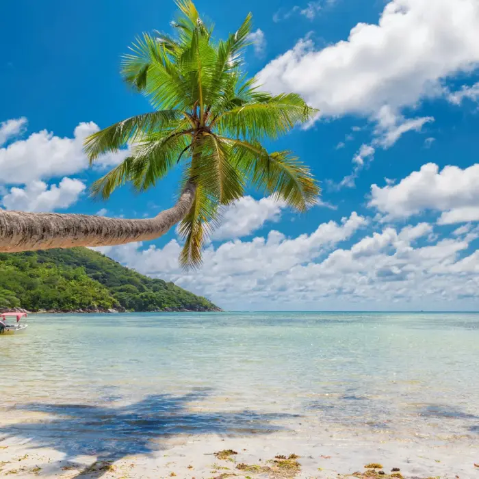 Goa