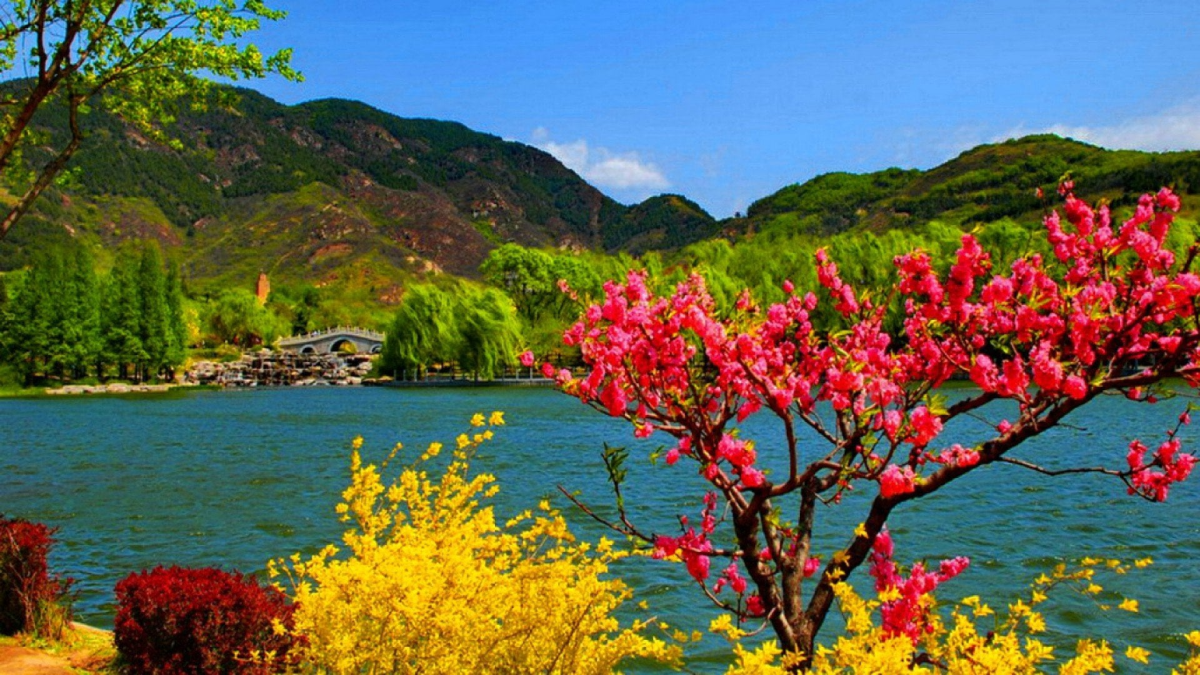 Summer Escape To Kashmir