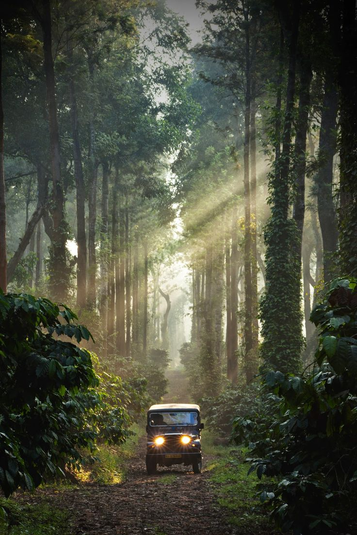 5-Day Mysore, Coorg, Ooty & Coonoor Scenic Tour Adventure