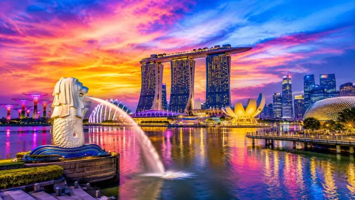Singapore Delight