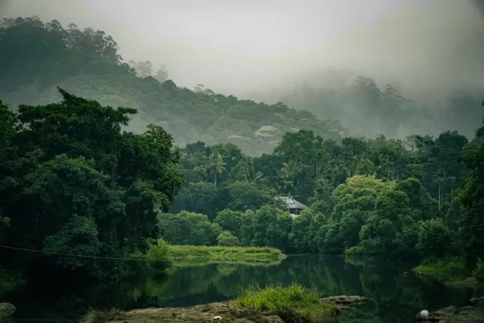 4 Days Premium Munnar & Thekkady Wilderness Retreat: Hills, Spices & Wildlife Safari