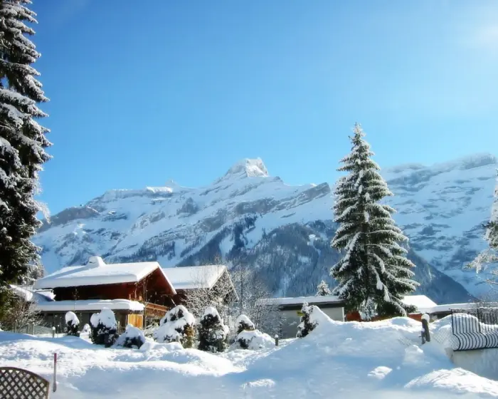 Shimla Manali Dalhousie Tour for 7 Nights 8 Days