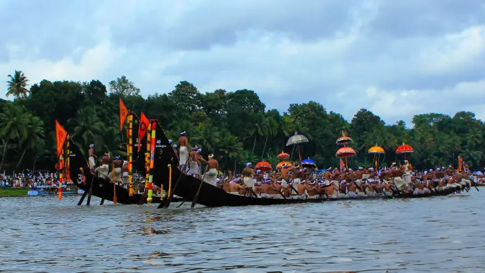 3 nights, 4 days Kerala Tour : Munnar , Alleppey : Hills & Backwaters