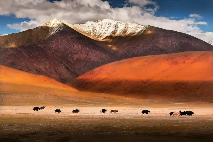 Leh Ladakh Grand Discovery