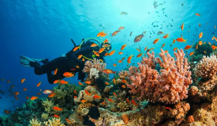 5-Day Andaman Adventure: Port Blair, Havelock, and Neil Island