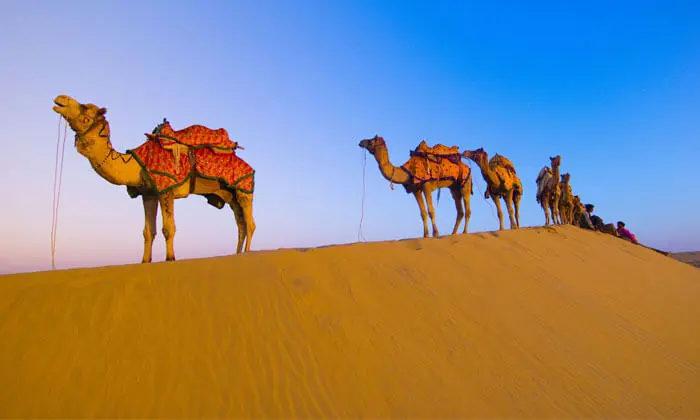 3 Days Jaipur Pink City Heritage and Culture Tour