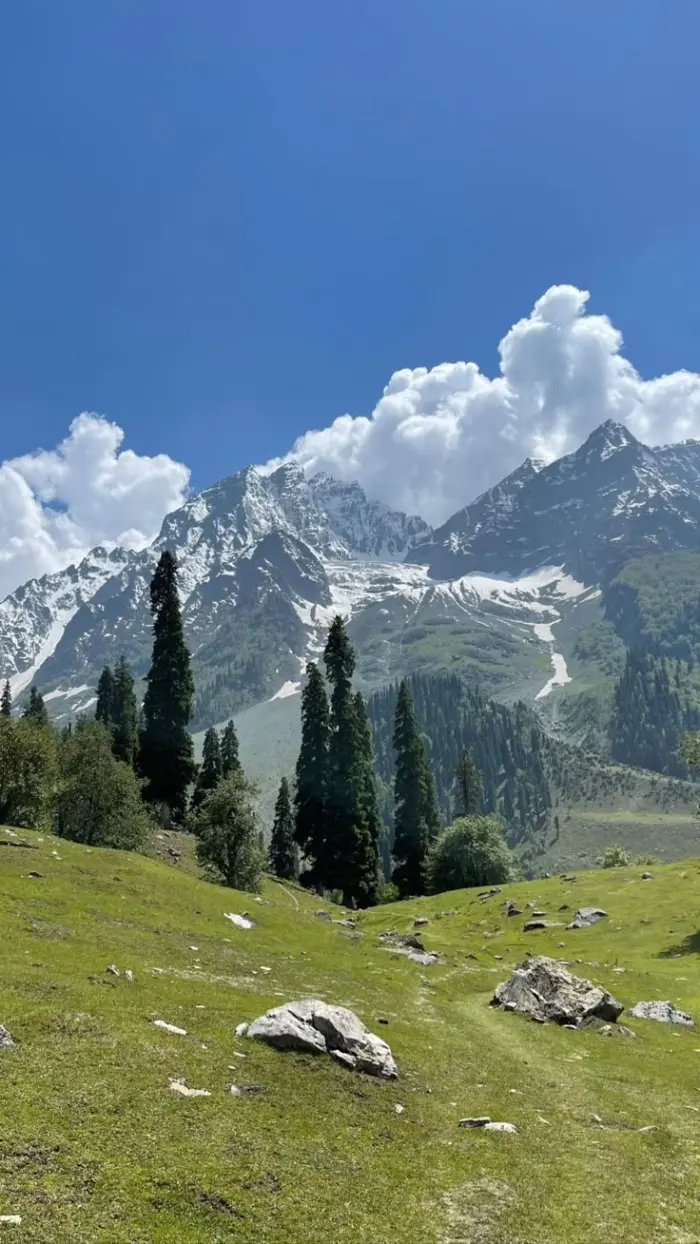 Kashmir 4 Days Trip