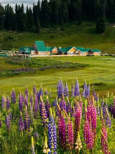 5-Day Kashmir Highlights: Srinagar, Gulmarg, Pahalgam, Sonmarg Adventure
