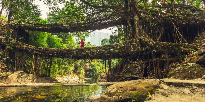 5 Nights Assam and Meghalaya Highlights with Shillong, Dawki, Cherrapunji