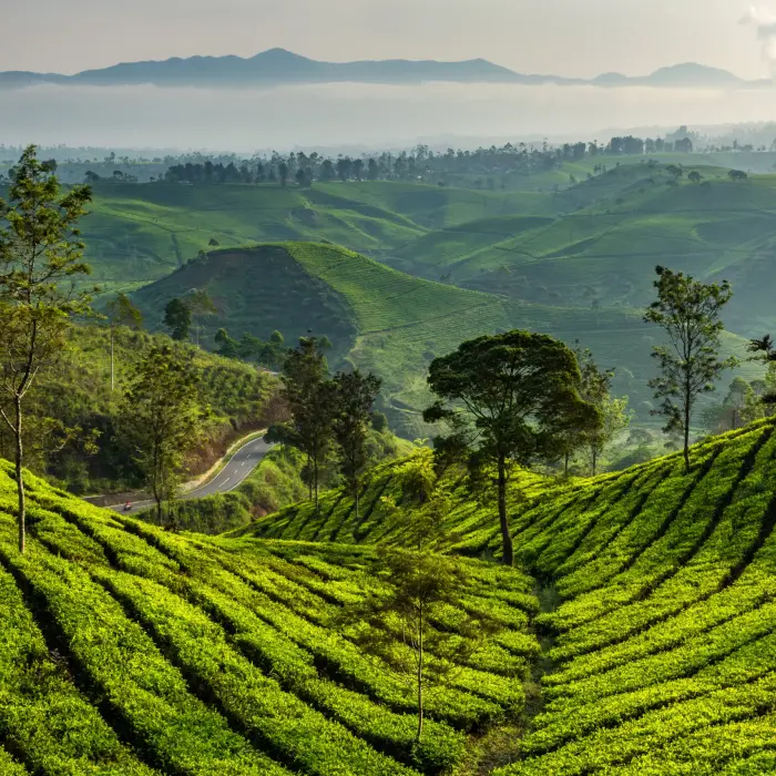 Ooty & Coonoor Delight for 3 Nights