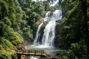 2N/3D  Deluxe Munnar: The Ultimate Green Escape - SARVA ENROUTE