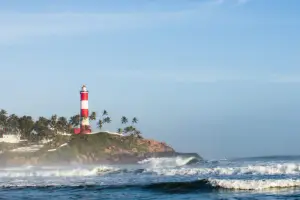 4 Days Misty Hills & Backwater Bliss: The Ultimate Munnar & Alleppey Escape