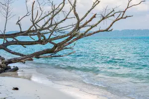Amazing Andaman: An Affordable Honeymoon Package