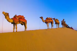 3 Days Jaipur Pink City Heritage and Culture Tour