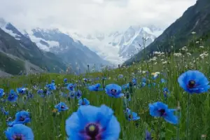 3-Night Uttarakhand Village Adventure