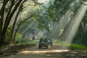 Hills & Jungle Retreat - Jim Corbett