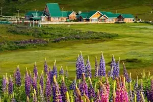 Kashmir Retreat Package (4N/5D) – Perfect for Friends & Families