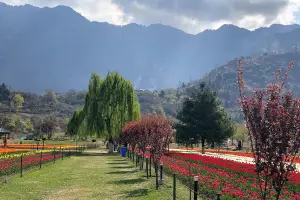 Magical Kashmir: 4 Days Srinagar, Gulmarg and Sonamarg Experience
