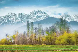 Budget Friendly Family Package for Srinagar
