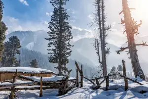 04 Nights 05 Days Kashmir Honeymoon Package