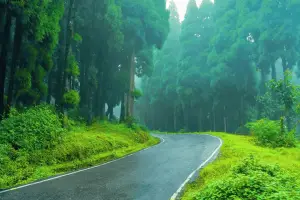 5N Package Darjeeling - Kalimpong - Gangtok In Budget