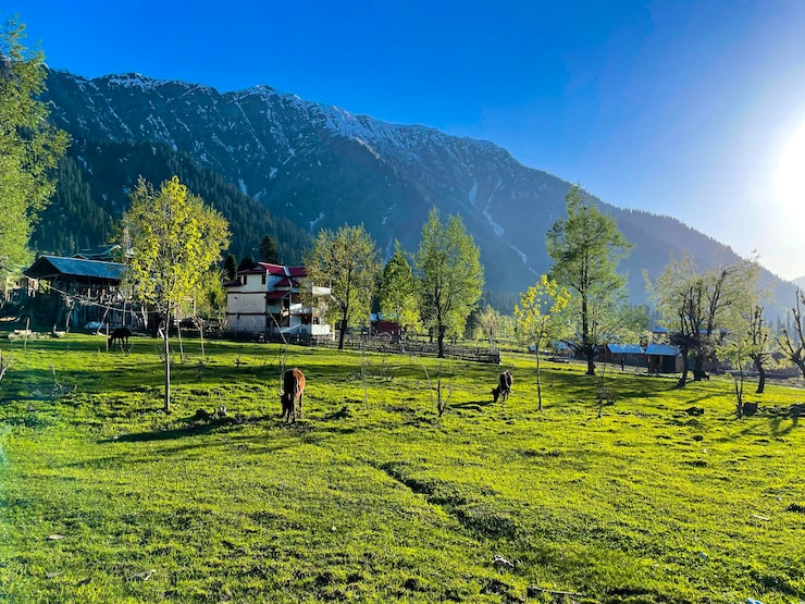 Featured Image