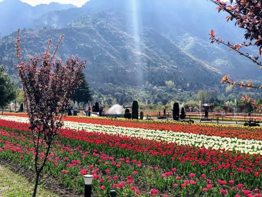 Enchanting Kashmir: 5 Nights of Srinagar, Gulmarg, Sonmarg & Pahalgam