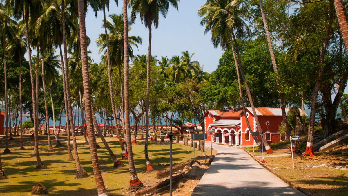 Island Escapade: 5 Days of Andaman Bliss Package