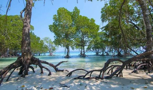 Andaman Escape – 3 Nights of Tropical Bliss