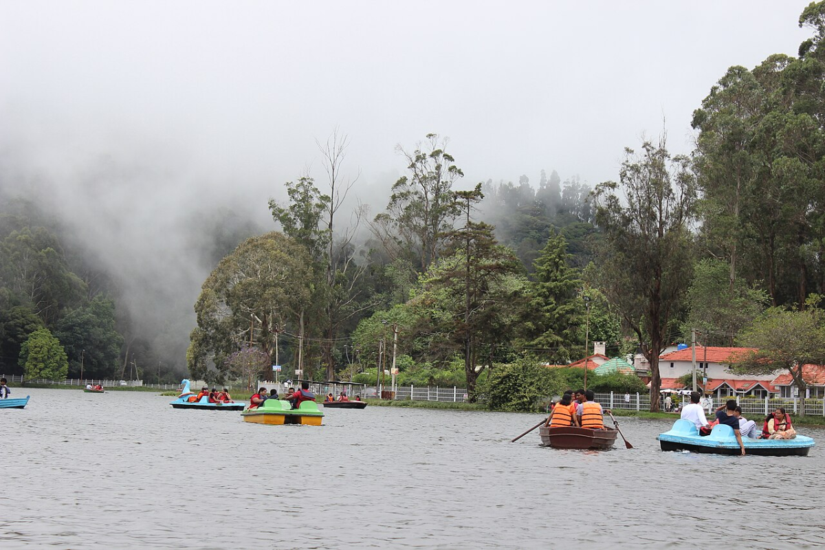Mystic South India Tour: Mysore Coorg Ooty Kodaikanal