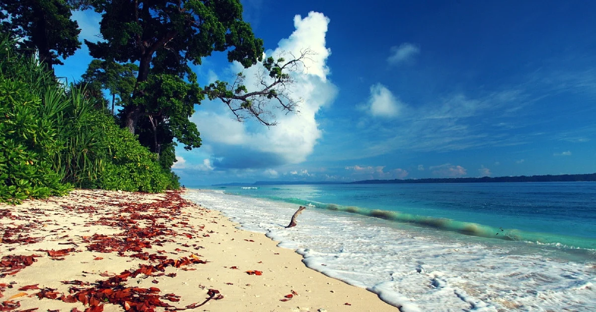 Featured Image