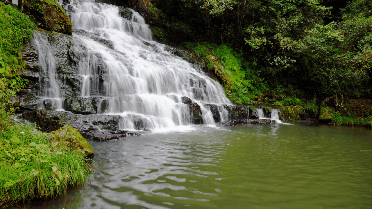 Assam Tour Package 3 Night 4 Dayss