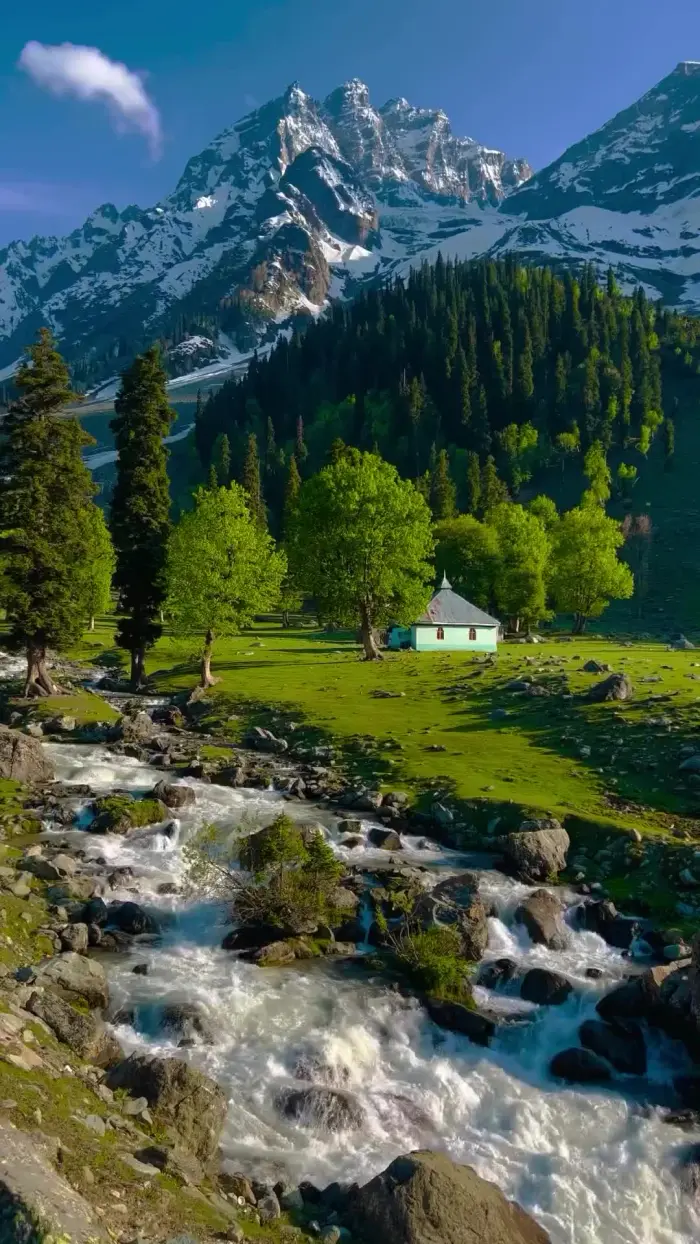 3 Nights Kashmir Budget Tour Package