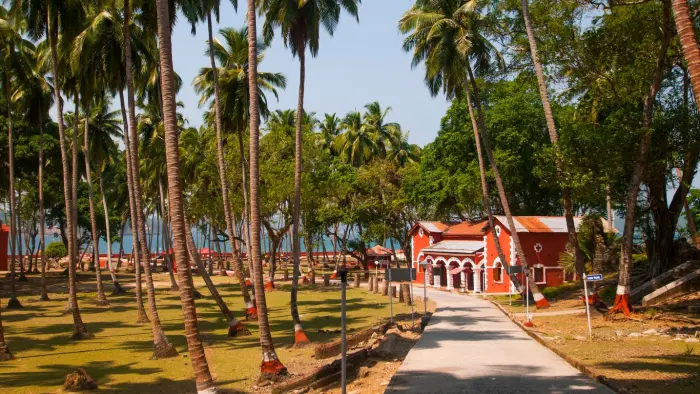 Island Escapade: 5 Days of Andaman Bliss Package