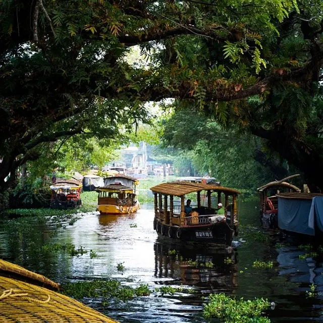 Kerala Honeymoon Trip Package for 5 Nights