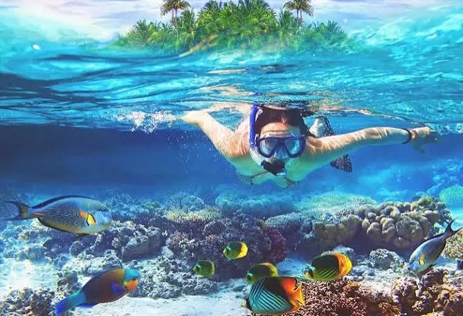 Andaman Paradise Escape