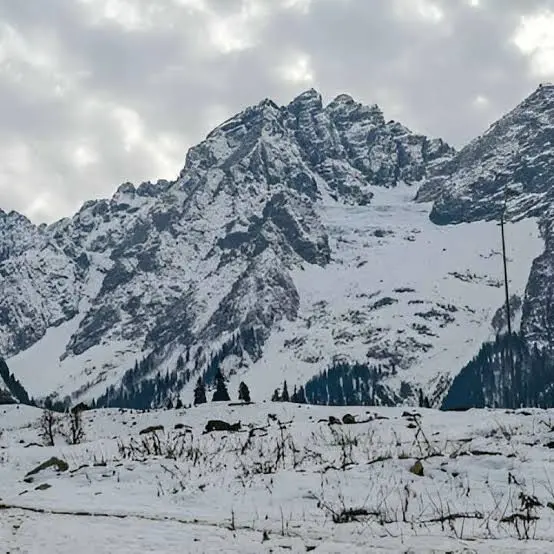 Budget 5N/6D Snowy Kashmir Group Special