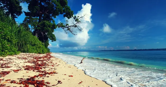 Andaman Tour Package 04 Nights - 05 Days