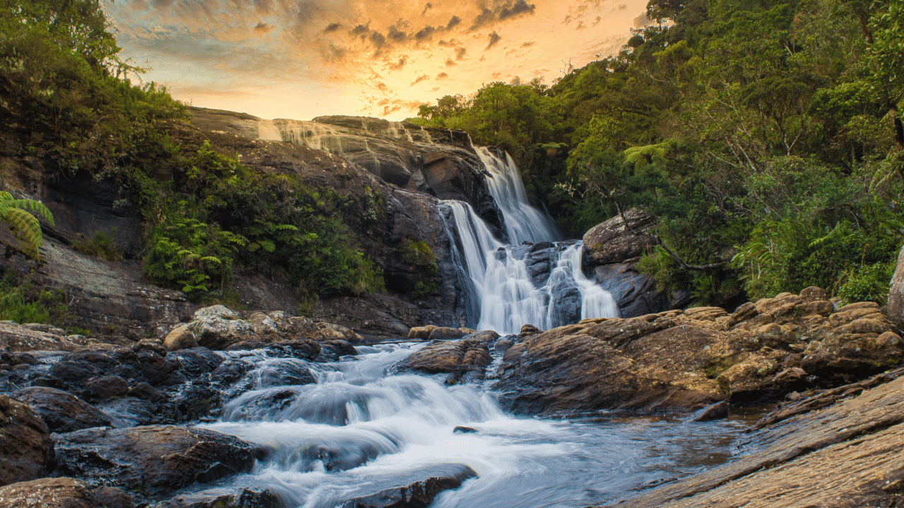 5 Night - 6 Days Assam Tour Package