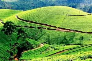 Kerala 04 Nights & 05 Days