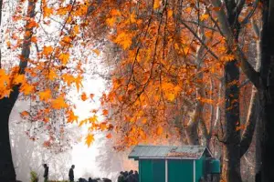 4-Day Scenic Kashmir Valley Tour with Dal Lake and Mughal Gardens
