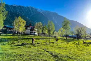 Summer Escape To Kashmir