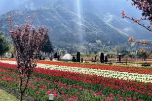 Enchanting Kashmir: 5 Nights of Srinagar, Gulmarg, Sonmarg & Pahalgam