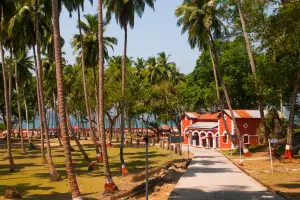Island Escapade: 5 Days of Andaman Bliss Package