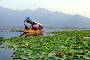Kashmir Retreat Package (4N/5D) – Perfect for Friends & Families