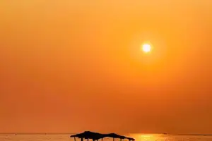Classic Goa