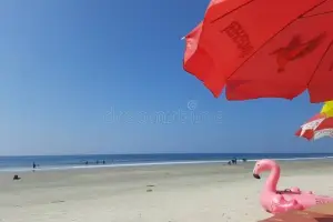 Goa Shores