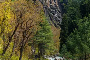 Damail–Naranag 2 Nights / 3 Days