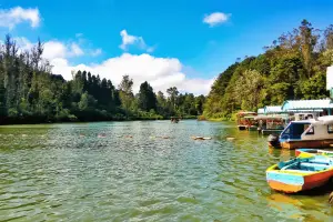 Bangalore - Mysore - Coorg - Ooty Tour