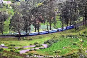 02 Nights & 03 Days Ooty Trip